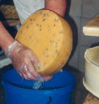 Käse einreiben 2